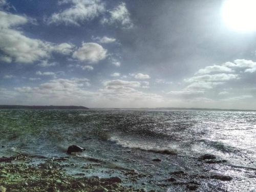 a large body of water with the sun in the sky at 4 star holiday home in Rønde-By Traum in Rønde