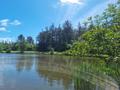 a view of a river with trees in the background at 6 person holiday home in Løkken in Løkken