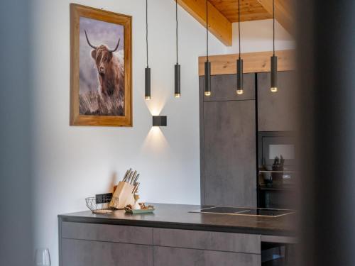 Kuchyň nebo kuchyňský kout v ubytování Grebenzen Lodge 44