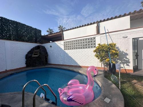 ルリンにあるCasa amplia con Piscina privada y a pasos de la playaのピンクのインフレータブルフラミンゴ