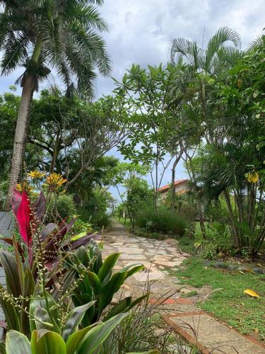 Jardín al aire libre en Hotel Posada Los Destiladeros