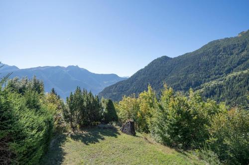 Chalet Panorama Ovronnaz 180 View 2BA 10 pax