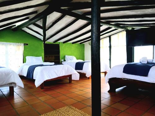 a bedroom with four beds in a room with green walls at La tranquera hotel in Villa de Leyva