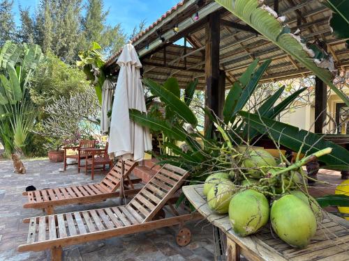 Taman di luar Orchid Boutique Beach Resort