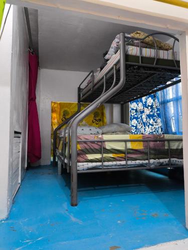 ein Zimmer mit zwei Etagenbetten mit blauem Boden in der Unterkunft TS Transient House in Baguio City