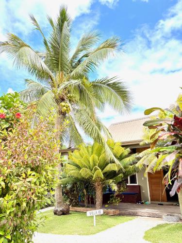 a palm tree in front of a house at Blue Lagoon Beach Resort in Nacula Island