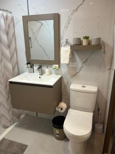 a bathroom with a toilet and a sink and a mirror at Tiffany's Suites in Diego Martin