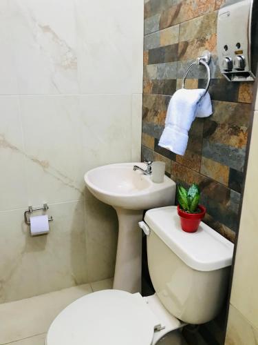 a bathroom with a toilet and a sink at Casa de Pablo in Puerto Ayora