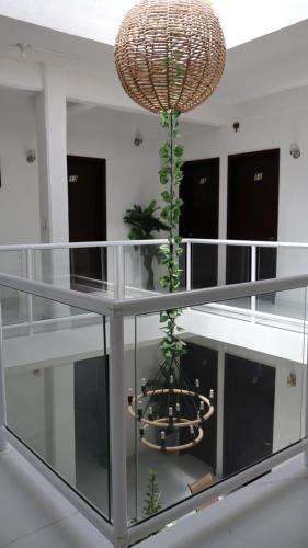 a room with a glass table with a potted plant at HOKAB in Cenote Azul