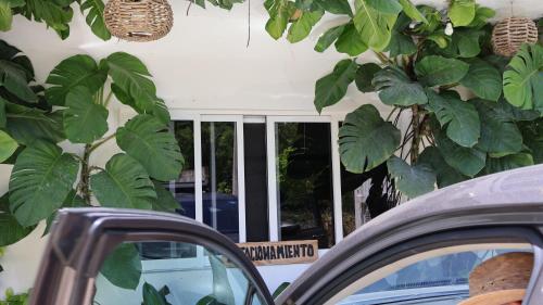 a close up of a car parked in front of a window at HOKAB in Cenote Azul