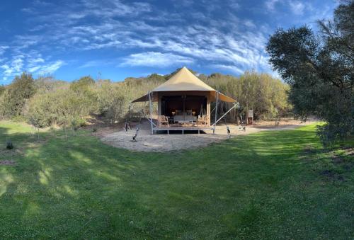 a large tent in the middle of a field at Ukiyo Nature Retreat in Fingal