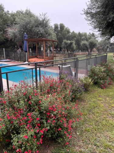 Bazén v ubytování "Rincón de Olivos" Alojamiento entero en complejo con piscina nebo v jeho okolí