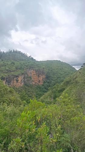 Φωτογραφία από το άλμπουμ του Wanderlust Camping kodai σε Kūkkāl