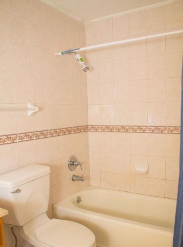 a bathroom with a toilet and a tub and a sink at Chic & Luxurious Flat in Cedar Grove