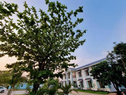 a large tree in front of a building at Thong Prachok Hotel in Sakon Nakhon