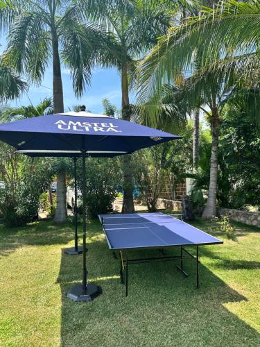 a blue ping pong table with a blue umbrella at Rojo Manglar Acapulco in Acapulco