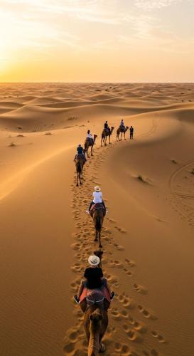 a group of people riding horses in the desert at Hostel Camel Castle & Safari in Jaisalmer
