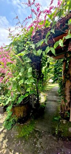 a bunch of plants are growing on a building at The Hidden Gem of Jembrana Bali in Mendaya