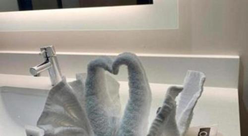 a group of swans are standing in a drawer at Pacific Motor Inn in San Jose