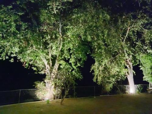 AlutgodaにあるOga Reach Hotel Yalaのギャラリーの写真