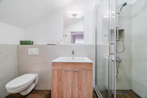 a bathroom with a toilet and a sink and a shower at Plitvice Lakes Apartments&Rooms in Grabovac