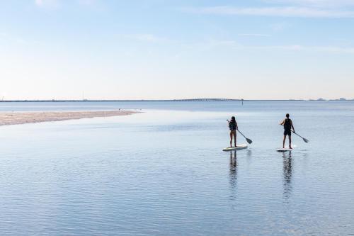 two people on paddle boards in the water at Grand Hyatt Tampa Bay in Tampa