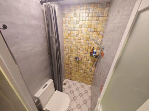a small bathroom with a toilet and a shower at Leshan Qiuye Book House B&B in Leshan