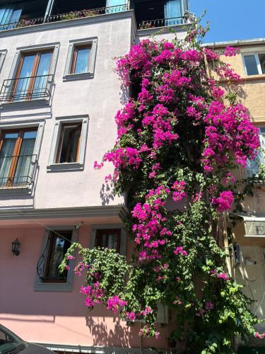 a building with pink flowers on the side of it at Agora Guesthouse in Istanbul