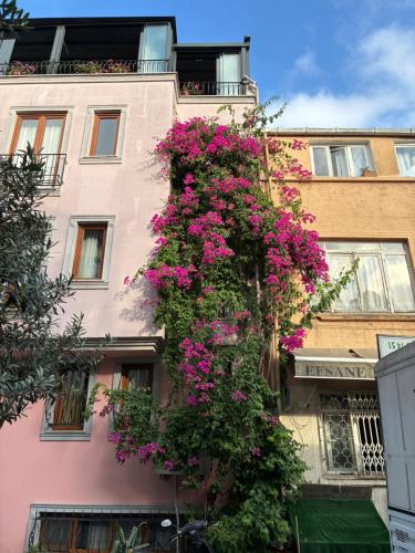 a building with pink flowers on the side of it at Agora Guesthouse in Istanbul