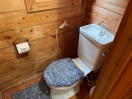 a small bathroom with a toilet and a sink at アルミテラーノ矢板 in Yaita