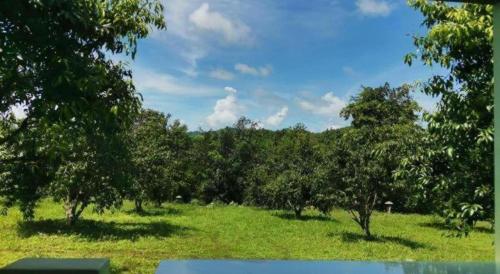 Φυσικό τοπίο κοντά σε αυτό το θέρετρο