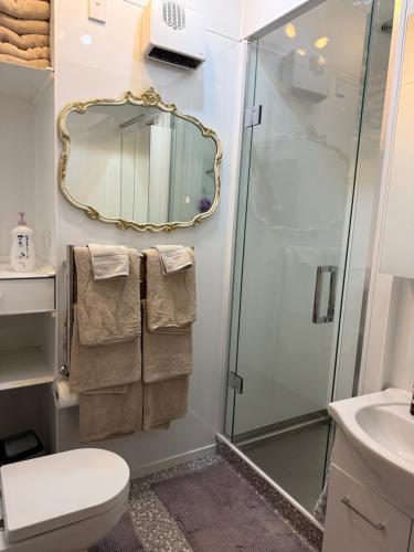 a bathroom with a shower and a toilet and a sink at Bed and Breakfast Happy Home Taupo Accommodation in Taupo