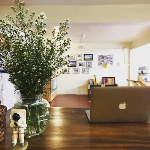 a vase of flowers sitting on a table with a laptop at Oldie and Sleepy Hostel in Udon Thani