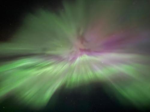 a blurry image of a bird with green lights at Bear Mountain View 4BR Home- Only 25 Min from Anchorage, Great Central location ,- 5 star property in Eagle River