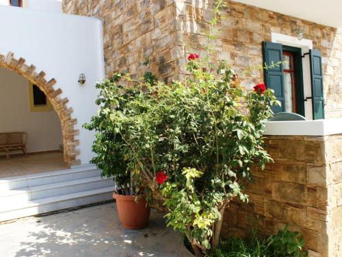 Fotografie z fotogalerie ubytování Plaka Hotel I v destinaci Plaka