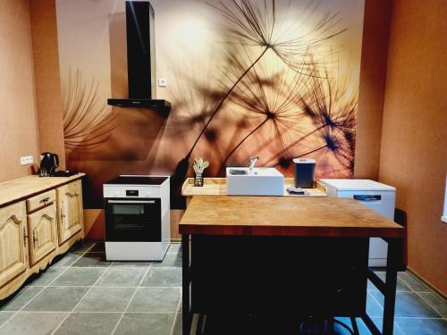 a kitchen with a stove and a counter top at Gîte des Roches in Cugnon