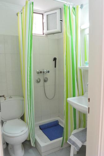 a bathroom with a shower and a toilet and a sink at Armonia Central in Loutra Edipsou