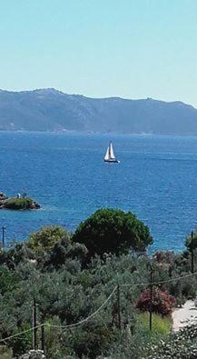 Gallery image of Theoxenia in Pteleós