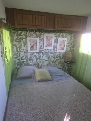 a bed in a bedroom with a green wall at La petite caravane de Vallye in Maxent