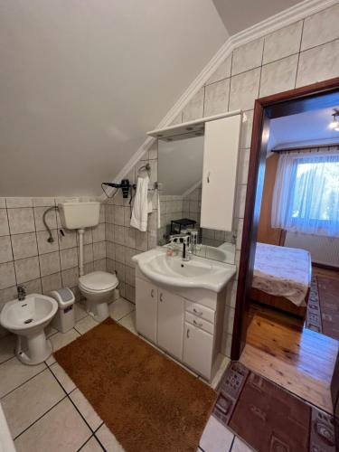 a bathroom with a sink and a toilet and a mirror at VILA Petrovic in Palić