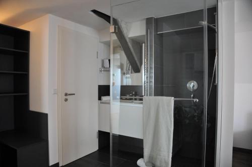 a bathroom with a shower with a glass door at Hotel Sporcher Nest in Cadolzburg