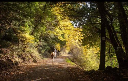 a person riding a horse down a dirt road at Mylaon Boutique Hotel & Spa in Vitina