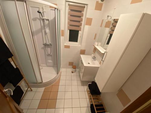 a bathroom with a shower and a sink at Au Cœur De L'alsace in Ostheim