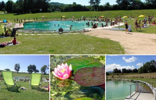 a collage of photos of a pool with people in it at Maison Au Calme des Pyrénées in Nestier