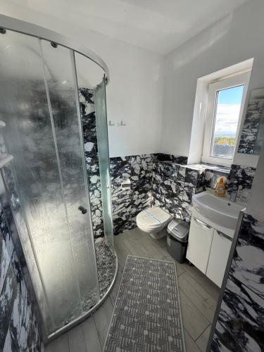 a bathroom with a shower and a toilet at Bier House in Velyatyn