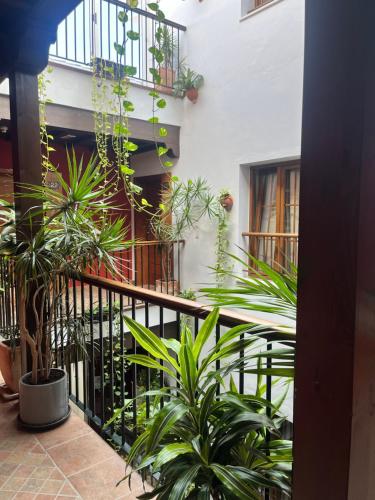 a balcony with a bunch of plants in a building at Hostal Al-Andalus in Conil de la Frontera