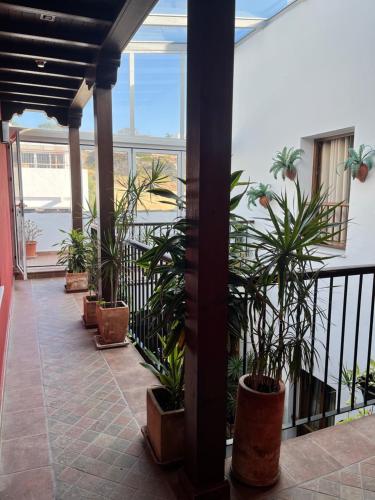 a balcony with potted plants on a building at Hostal Al-Andalus in Conil de la Frontera