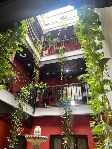 a building with a bunch of potted plants at Hostal Al-Andalus in Conil de la Frontera