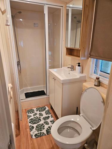 a bathroom with a toilet and a shower and a sink at Olm29 Vakantiewoning in het Drents Friese Wold vlakbij Diever Zwembad, Animatie, Restaurant, Wandelen, Natuur in Oude Willem