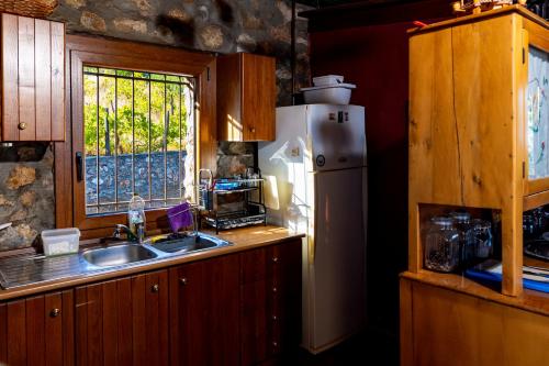 a kitchen with a sink and a refrigerator and a window at Kleio in Elatochori